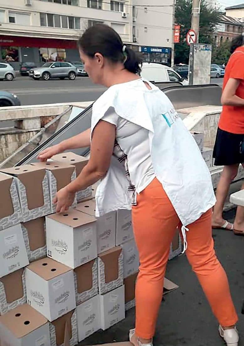 Din activitatea Asociației Șansa Ta, 2024